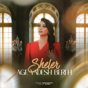 دانلود آهنگ شلر اگه یادش بره