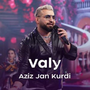دانلود آهنگ ولی عزیز جان – کوردی