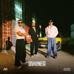 دانلود آهنگ زانیار دیوونگی