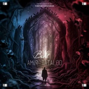 دانلود آهنگ امیر تتلو بهت