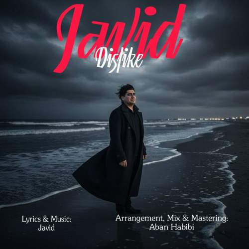 دانلود آهنگ جاوید دوست ندارم