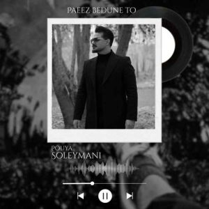 دانلود آهنگ پویا سلیمانی پاییز بدون تو