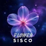 آهنگ سیسکو گل